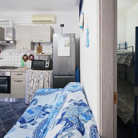 Blue Nest Buggerru